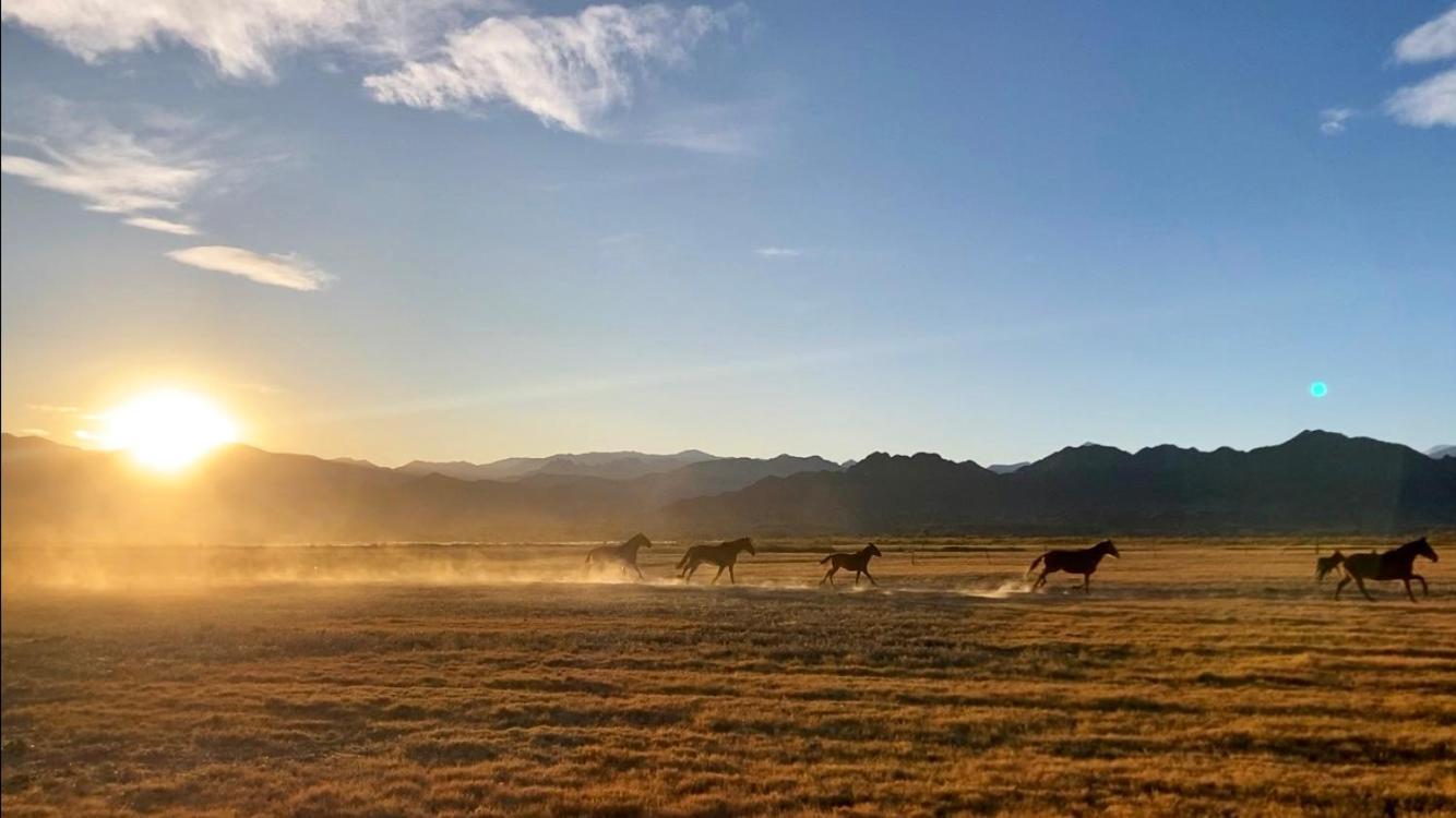 Estancia Banda Grande - Horse & Hiking Safaris Molinos Esterno foto